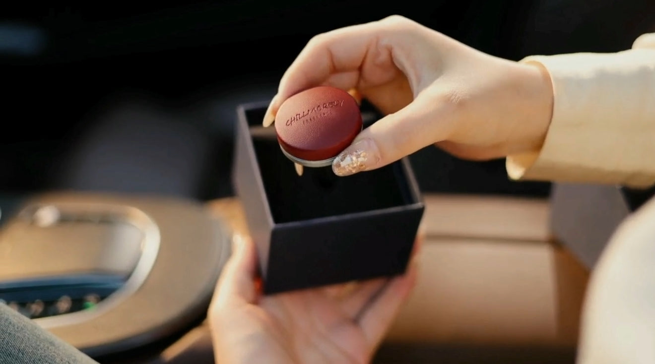 CHILLMORELY CAR PERFUME CLIP TYPE (inside with 2pcs Fragrance tablets)